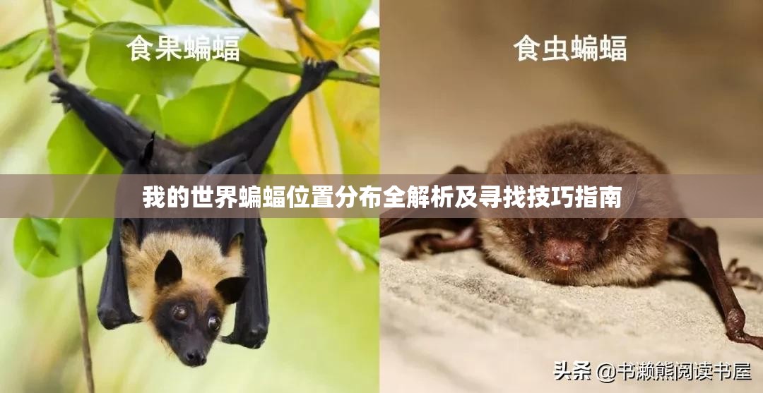 我的世界蝙蝠位置分布全解析及寻找技巧指南