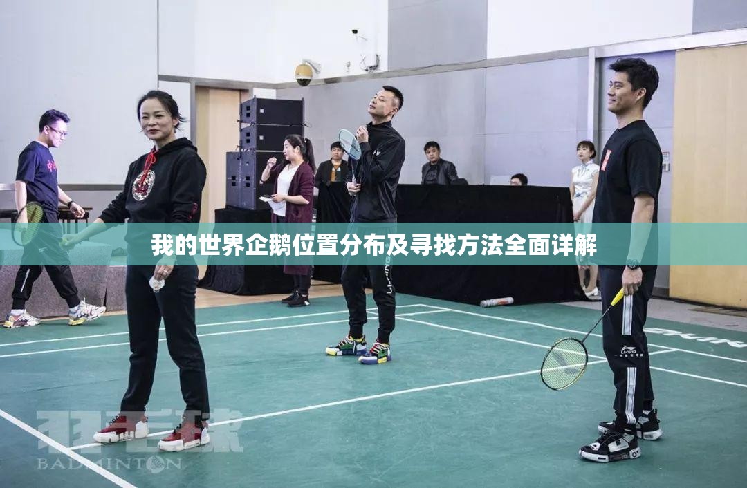 我的世界企鹅位置分布及寻找方法全面详解