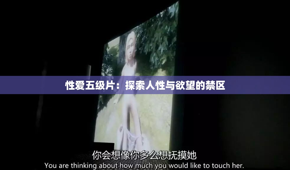 性爱五级片：探索人性与欲望的禁区