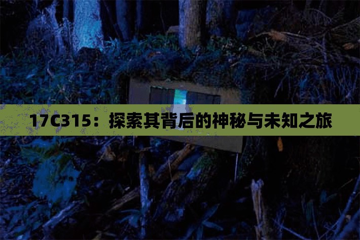 17C315：探索其背后的神秘与未知之旅