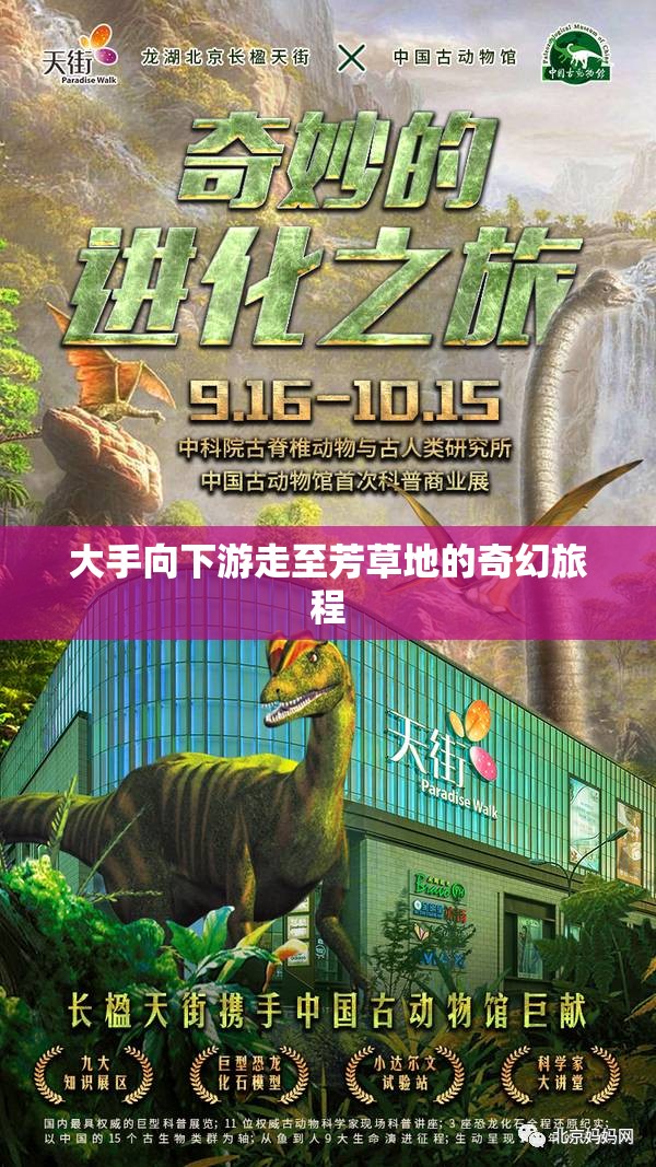 大手向下游走至芳草地的奇幻旅程