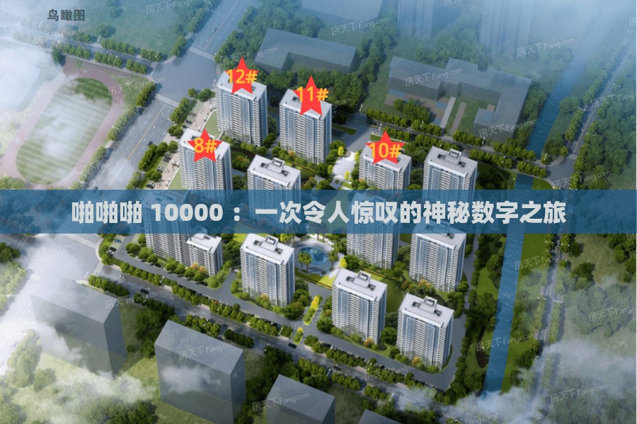 啪啪啪 10000 ：一次令人惊叹的神秘数字之旅