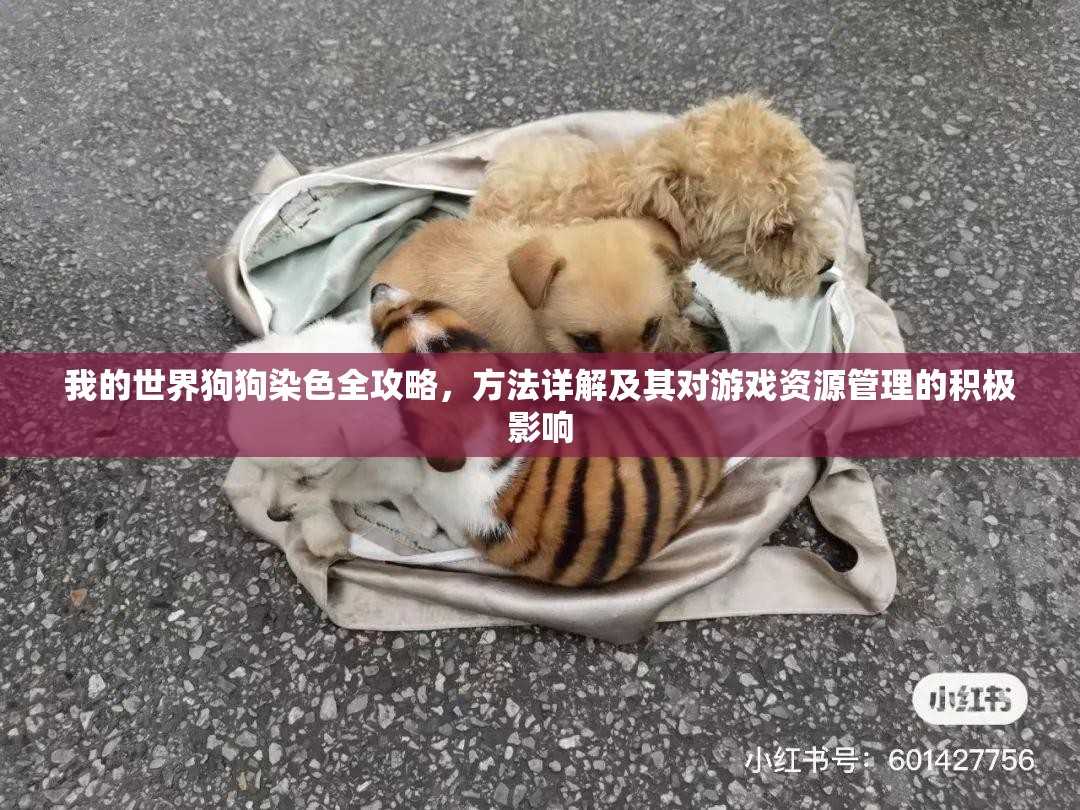 我的世界狗狗染色全攻略，方法详解及其对游戏资源管理的积极影响