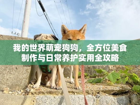 我的世界萌宠狗狗，全方位美食制作与日常养护实用全攻略