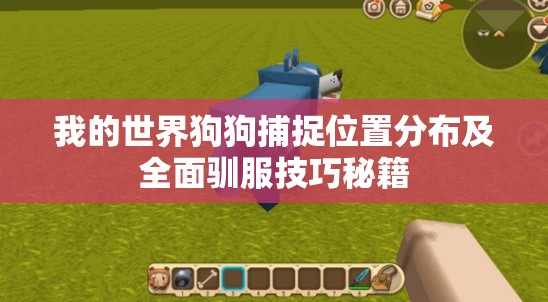 我的世界狗狗捕捉位置分布及全面驯服技巧秘籍