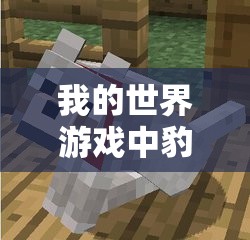 我的世界游戏中豹猫饮食指南，全面解析豹猫喂食方法与技巧