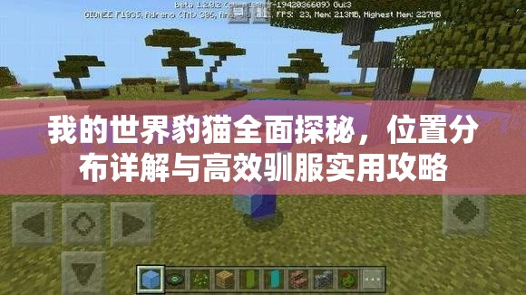 我的世界豹猫全面探秘，位置分布详解与高效驯服实用攻略