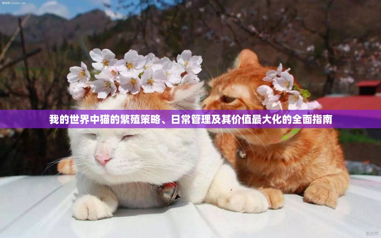 我的世界中猫的繁殖策略、日常管理及其价值最大化的全面指南