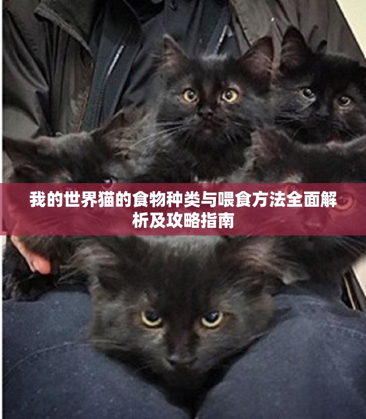 我的世界猫的食物种类与喂食方法全面解析及攻略指南