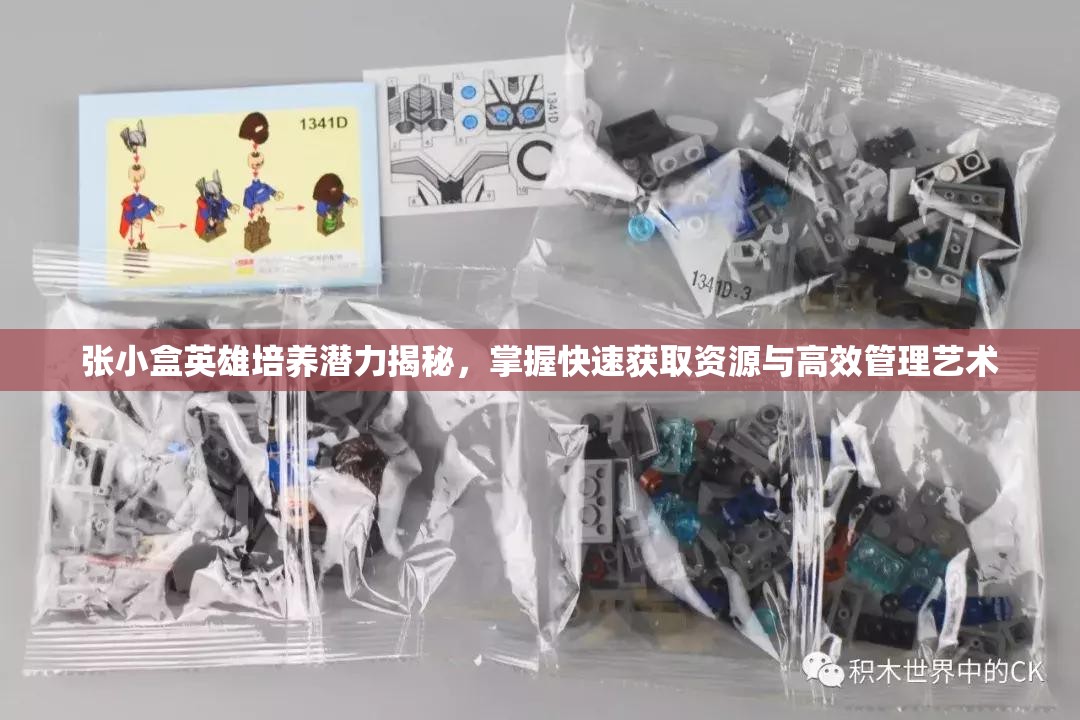 张小盒英雄培养潜力揭秘，掌握快速获取资源与高效管理艺术