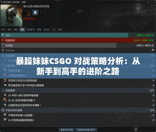 暴躁妹妹CSGO 对战策略分析：从新手到高手的进阶之路