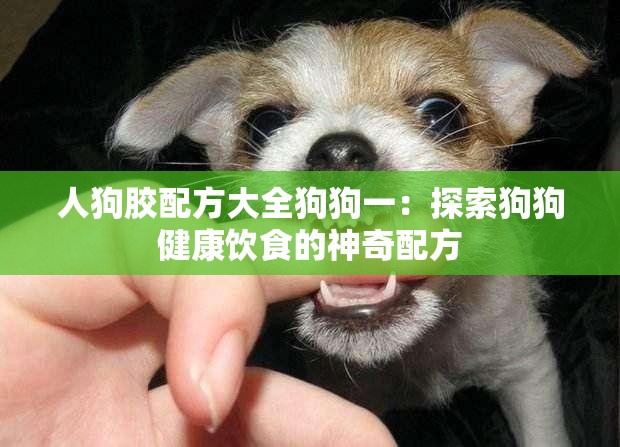 人狗胶配方大全狗狗一：探索狗狗健康饮食的神奇配方