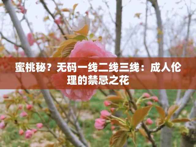 蜜桃秘？无码一线二线三线：成人伦理的禁忌之花