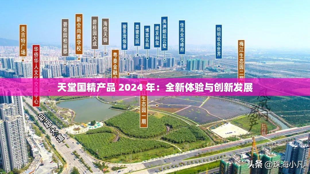 天堂国精产品 2024 年：全新体验与创新发展