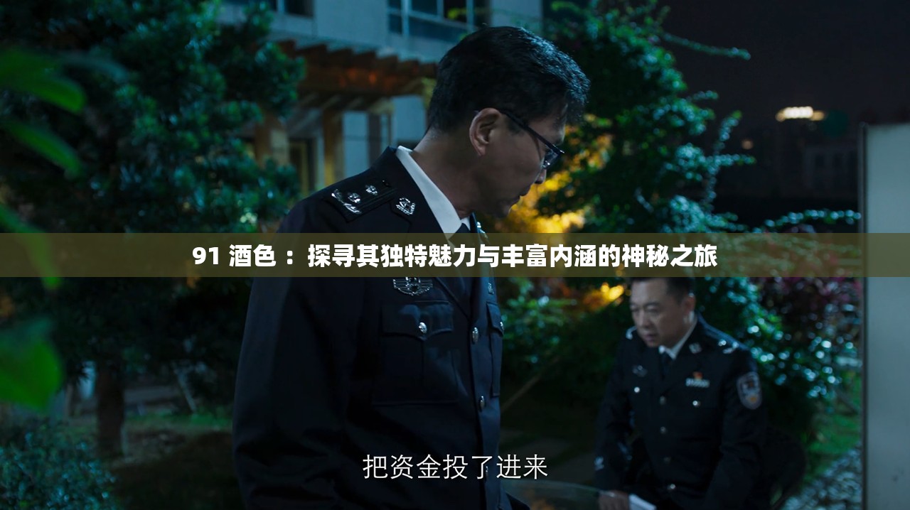 91 酒色 ：探寻其独特魅力与丰富内涵的神秘之旅