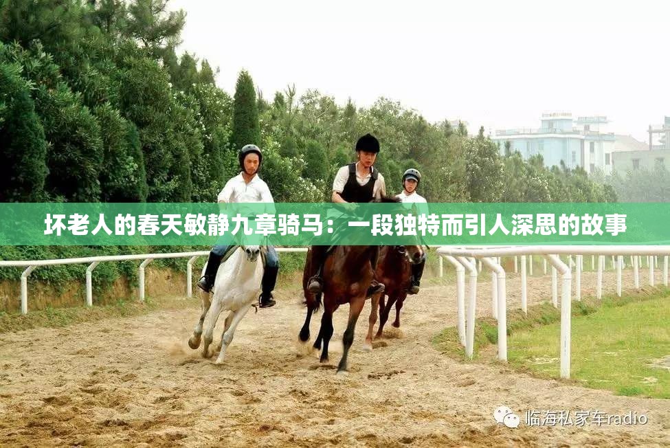 坏老人的春天敏静九章骑马：一段独特而引人深思的故事