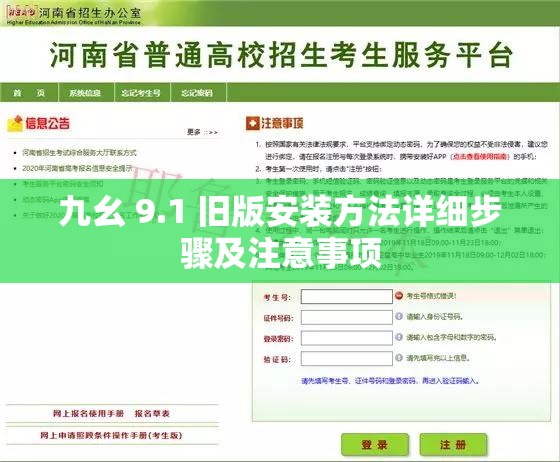 九幺 9.1 旧版安装方法详细步骤及注意事项
