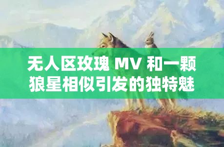 无人区玫瑰 MV 和一颗狼星相似引发的独特魅力与思考