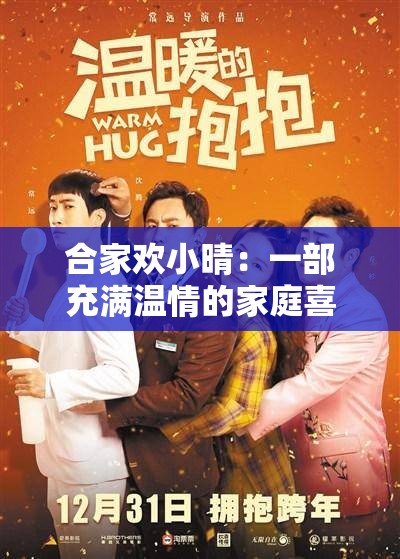 合家欢小晴：一部充满温情的家庭喜剧小说
