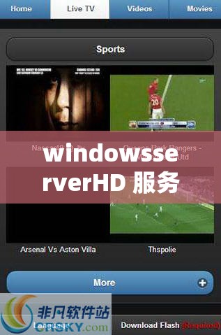 windowsserverHD 服务器：提升企业效率的强大工具