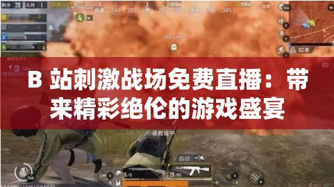 B 站刺激战场免费直播：带来精彩绝伦的游戏盛宴
