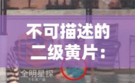 不可描述的二级黄片：揭秘背后的真相