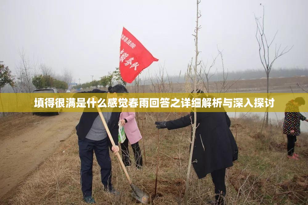 填得很满是什么感觉春雨回答之详细解析与深入探讨