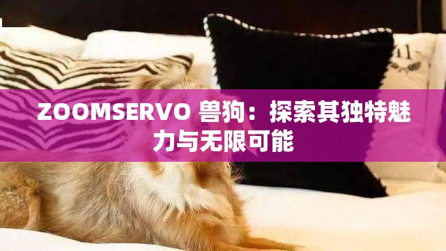 ZOOMSERVO 兽狗：探索其独特魅力与无限可能