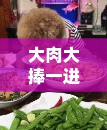 大肉大捧一进一出视频出来呀：一场极致的感官盛宴
