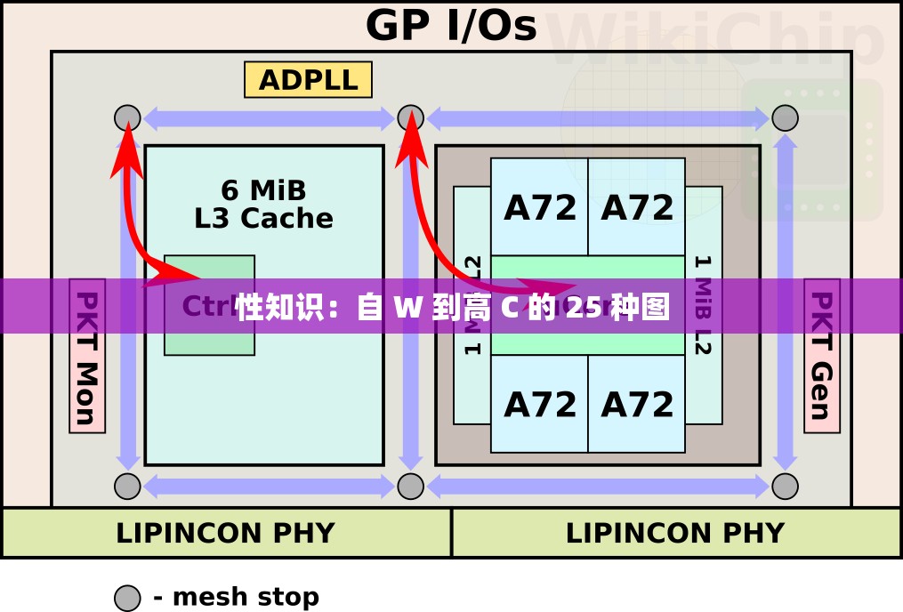 性知识：自 W 到高 C 的 25 种图