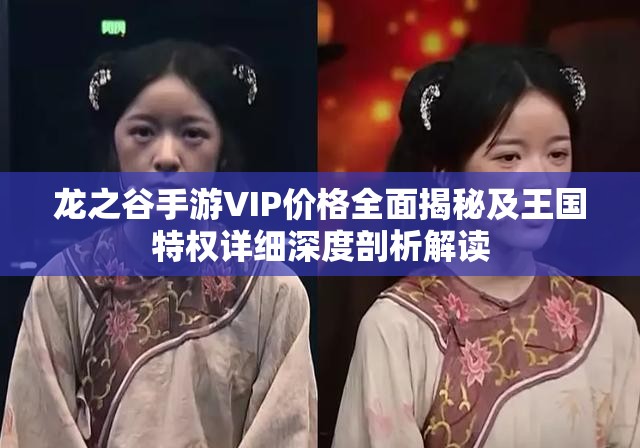 龙之谷手游VIP价格全面揭秘及王国特权详细深度剖析解读