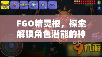FGO精灵根，探索解锁角色潜能的神奇钥匙与寻觅珍稀之旅