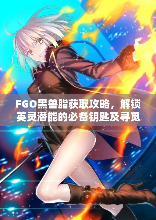 FGO黑兽脂获取攻略，解锁英灵潜能的必备钥匙及寻觅全攻略