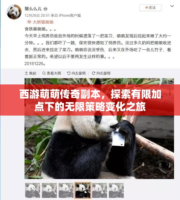 西游萌萌传奇副本，探索有限加点下的无限策略变化之旅