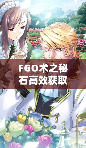 FGO术之秘石高效获取全攻略，揭秘掉落几率最高的副本与活动