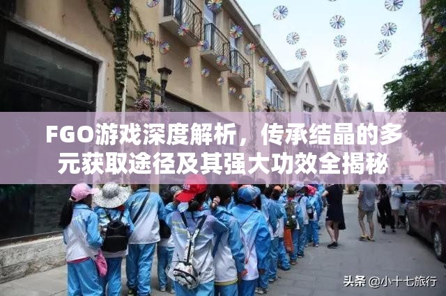 FGO游戏深度解析，传承结晶的多元获取途径及其强大功效全揭秘