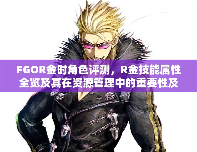 FGOR金时角色评测，R金技能属性全览及其在资源管理中的重要性及高效运用策略
