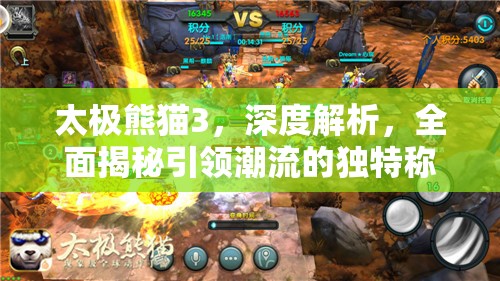 太极熊猫3，深度解析，全面揭秘引领潮流的独特称号与玩法