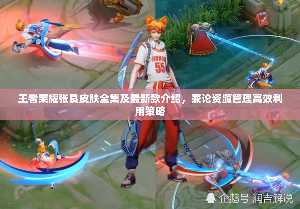 王者荣耀张良皮肤全集及最新款介绍，兼论资源管理高效利用策略