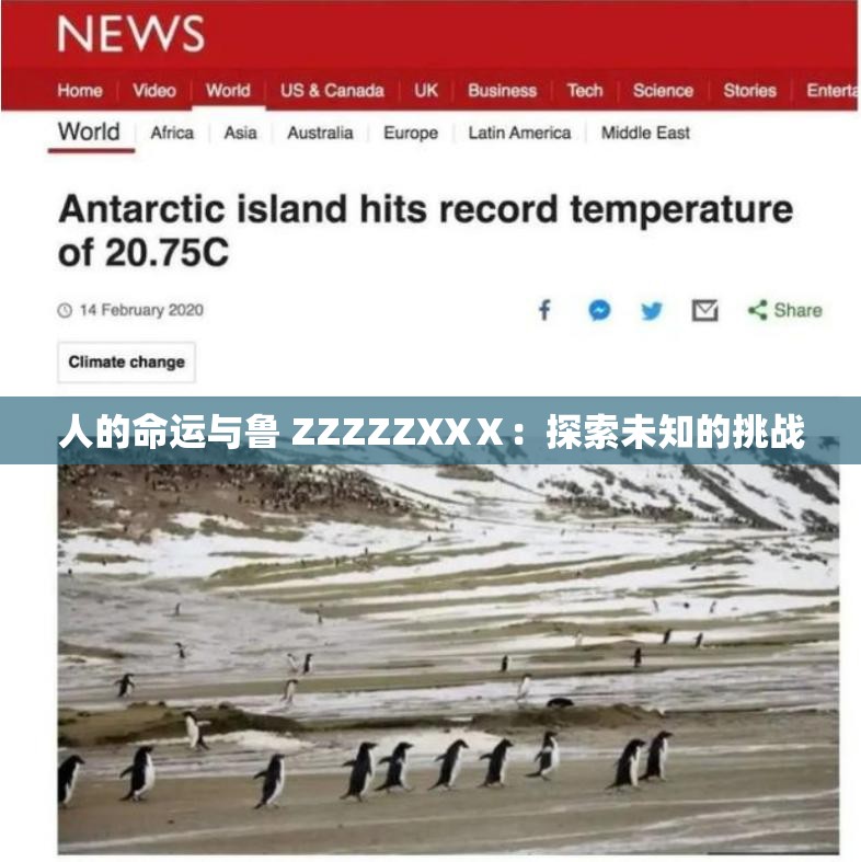 人的命运与鲁 ZZZZZXXⅩ：探索未知的挑战