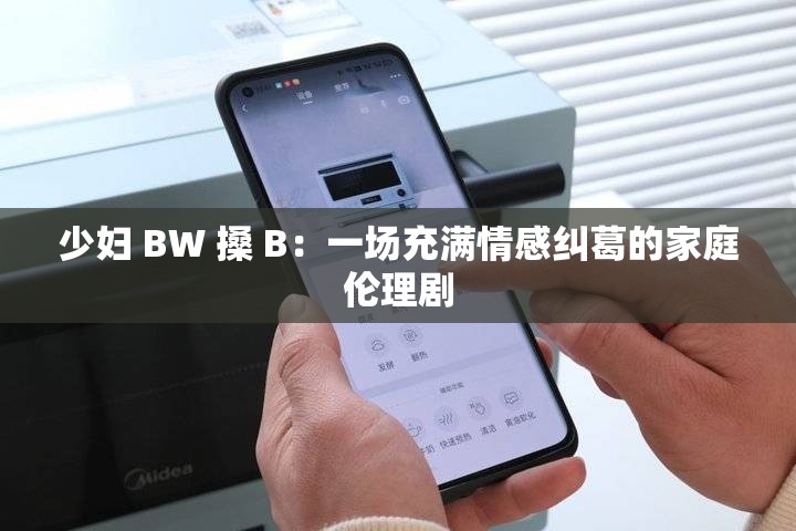 少妇 BW 搡 B：一场充满情感纠葛的家庭伦理剧