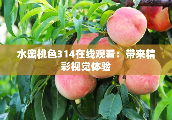 水蜜桃色314在线观看：带来精彩视觉体验
