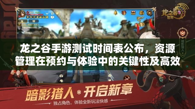 龙之谷手游测试时间表公布，资源管理在预约与体验中的关键性及高效策略