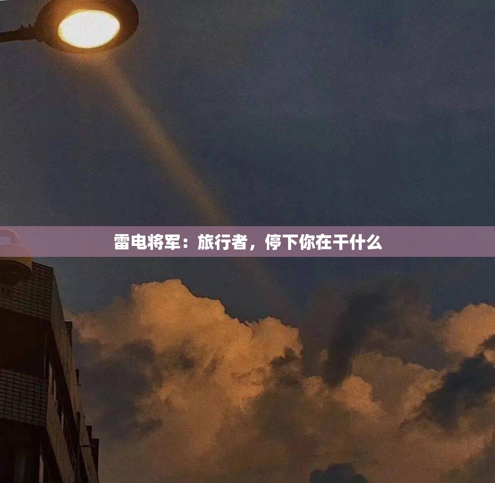雷电将军：旅行者，停下你在干什么