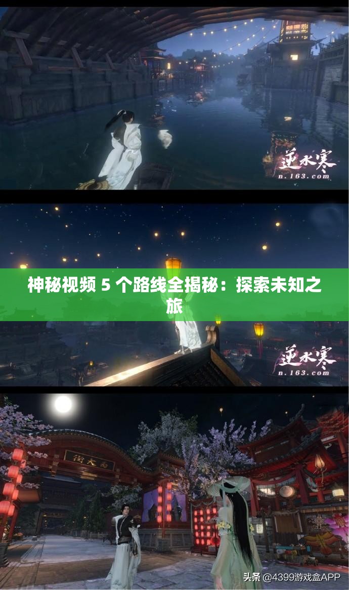 神秘视频 5 个路线全揭秘：探索未知之旅