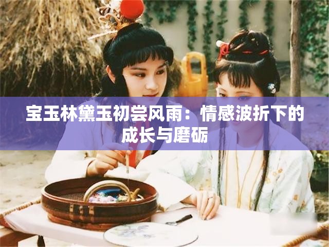 宝玉林黛玉初尝风雨：情感波折下的成长与磨砺