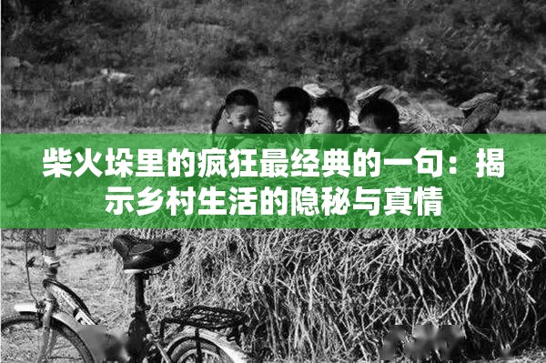 柴火垛里的疯狂最经典的一句：揭示乡村生活的隐秘与真情