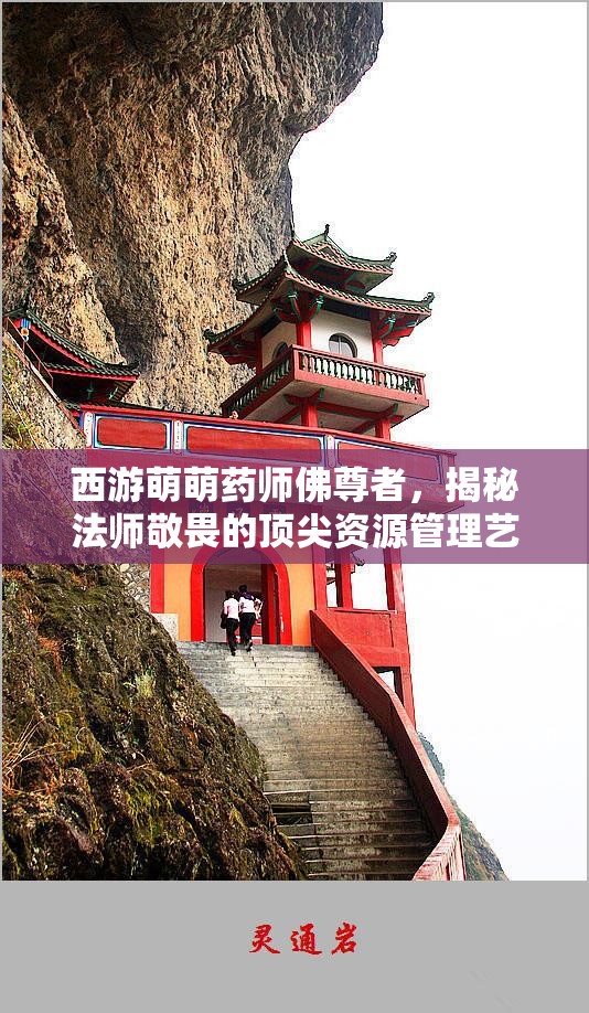 西游萌萌药师佛尊者，揭秘法师敬畏的顶尖资源管理艺术