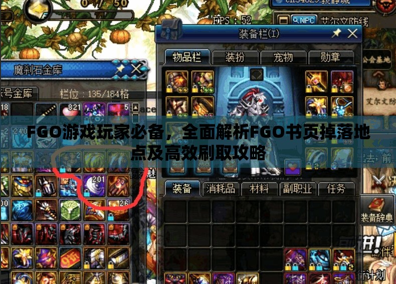 FGO游戏玩家必备，全面解析FGO书页掉落地点及高效刷取攻略