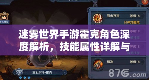 迷雾世界手游霍克角色深度解析，技能属性详解与资源管理策略指南